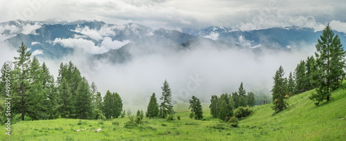 Foggy morning in the mountains, cloudy weather, summer travel, panoramic view 