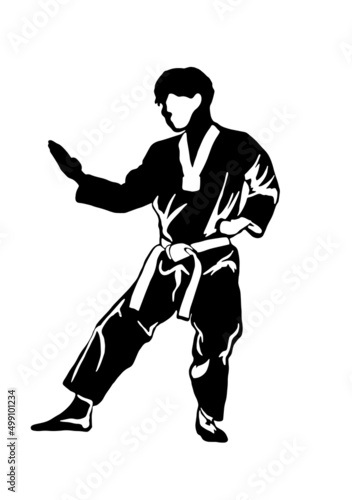 karate taekwondo illustration vector logo
