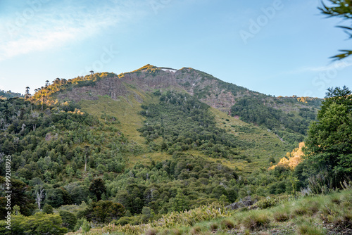 Green valley with trees illuminated by the sunset light and snow-capped mountain, Chile