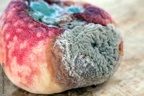 rotten food peach not fit for food