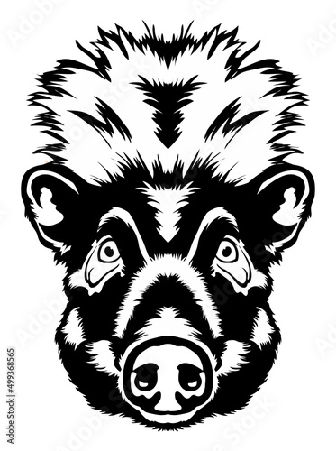 Visayan warty pig face vector iilustration in hand drawn style, perfect for tshirt and mascot design 