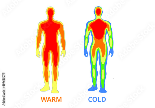 Body temperature ,Vector Illustration 