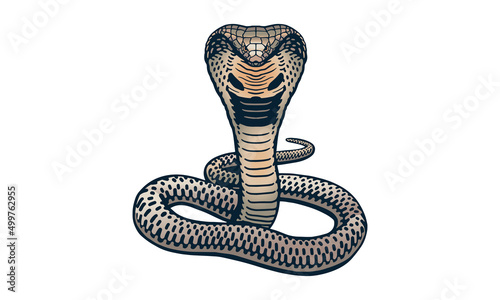 King cobra on light background, vector, illustration logo, sign, emblem.