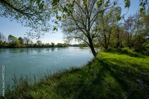 Paysage de printemps sur les berges du fleuve Rhône aux alentours du village de Lagnieu dans le département de l'Ain