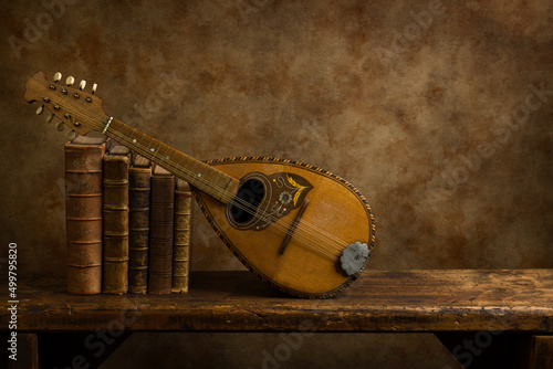 Old lute instrument on shelf