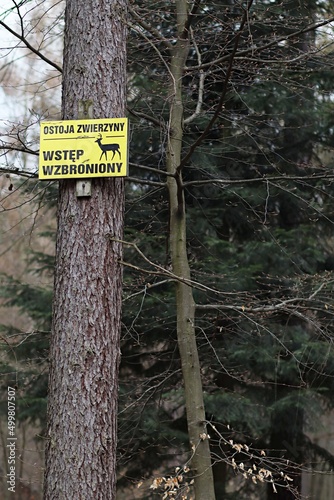 Tablica informacyjna w lesie - ostoja zwierząt wstęp wzbroniony