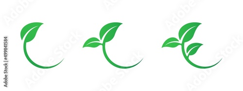 Green leaves icon set. Eco leaves collection. Ecological concept. Branch with leaves set. Flat banner with green eco leaves for web design. Organic natural shape. Ecological poster. Isolated