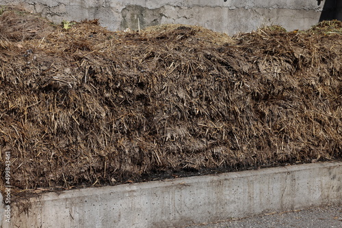 misthaufen bei bauernhof von tierstall