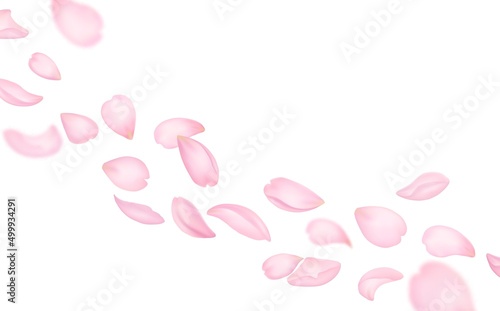 Flying sakura petals. Japanese cherry tree blossom flowers pink petals falling . Romantic vector background, beauty and wedding theme, spring freshness