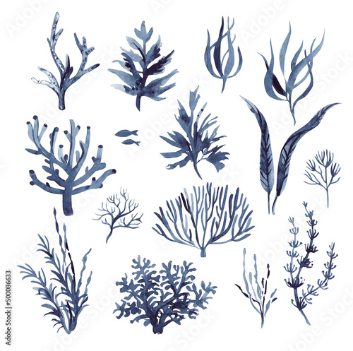 A set of watercolor drawings depicting indigo algae. Plant pattern.