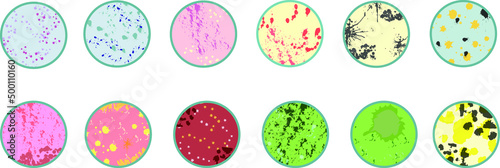 Bacteriology. Microbiology. Petri dish, plate with agar, bacterial colony. Laboratory test, bacteriological swab, chemical analysis. Vector flat illustration