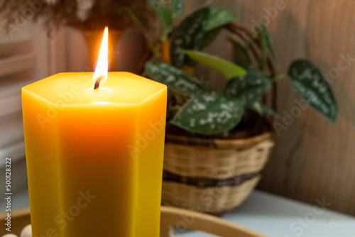 A tall hexagonal shaped beeswax candle is displayed with a plant.
