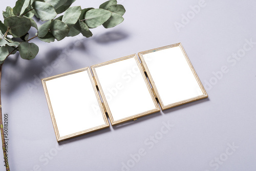 Three, Triple Multi Photo Frame Decorated with Green Leaves