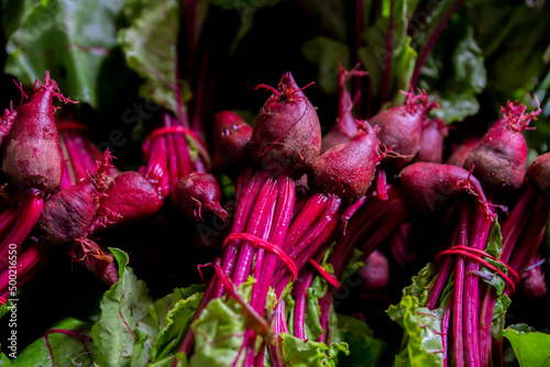 botwina, botwinka, młode buraczki, wiosenne warzywa, nowalijki, liście, chard, chard, young beetroot, spring vegetables, spring vegetables, leaves,