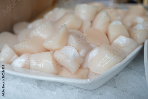 Pecten maximus or great scallop, king scallop, St James shell or escallop fresh and open ready to cook