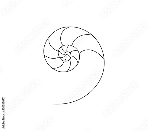 Vector isolated golden spiral logarithmic spiral of nautilus shell line graphic drawing