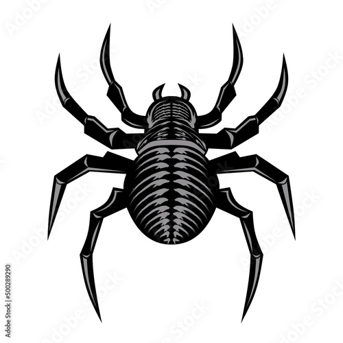 Vector illustration of spider animal