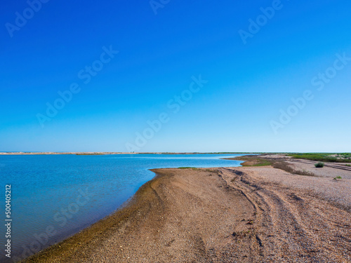 A picturesque coastal landscape of untouched nature with a sandy beach under a blue sky. Sea view with wildlife of the marine lagoon with sandbanks and coves against the background of clear blue sky