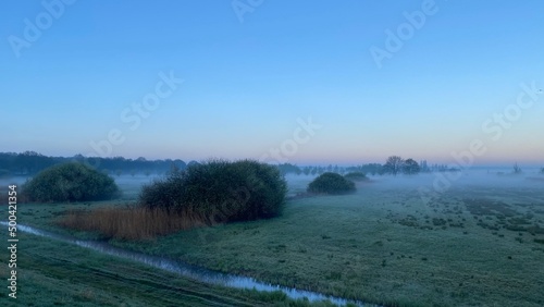 Foggy morning in a Dutch polder near Den Bosch