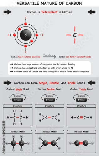 Versatile Nature of Carbon Infographic Diagram showing tetravalent due to valence electrons and how carbon can for single double and triple bonds with examples for chemistry science education vector