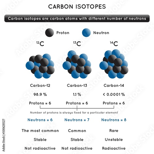 Carbon Isotopes Infographic Diagram showing comparison of their nucleus number of protons and neutrons how common stable and radioactive for chemistry science education poster vector