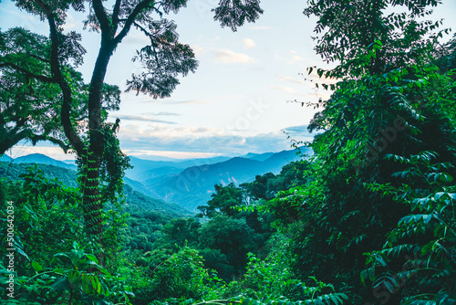 Pasisajes de yunga y selva