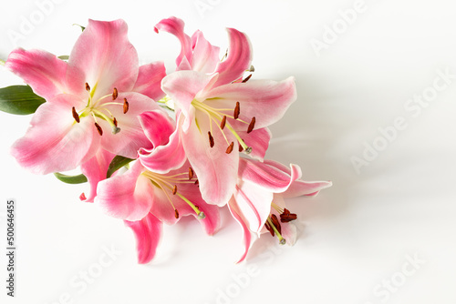 pink lily flowers on a white background. flower business, floristry concept