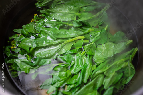 Boiled Cabbage Moss for Dried Vegetables