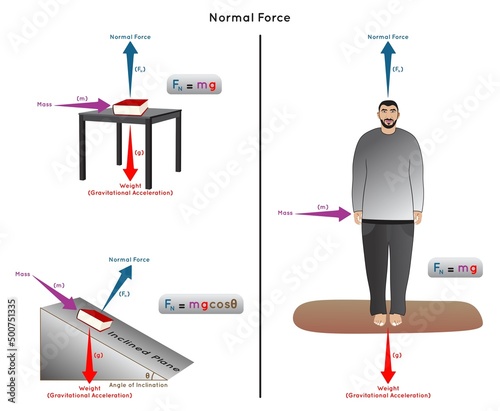 Normal Force Infographic Diagram with example of book on table and on inclined plane man standing on floor mass weight gravitational acceleration inclination angle physics science education vector