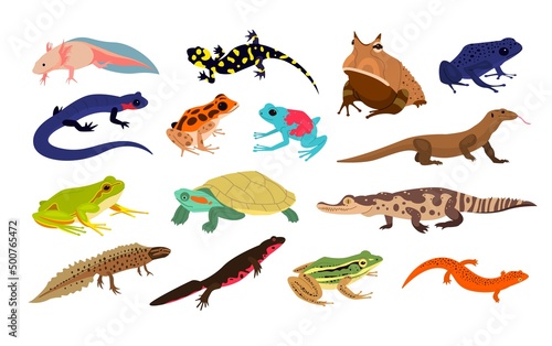 Tropical reptiles. Exotic animals, jungle wildlife or terrarium inhabitant, different types amphibians, toads, turtles and crocodiles, colorful frogs and lizards, rainforest nature vector set