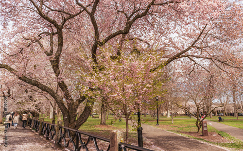 Wooster Square New Haven Connecticut