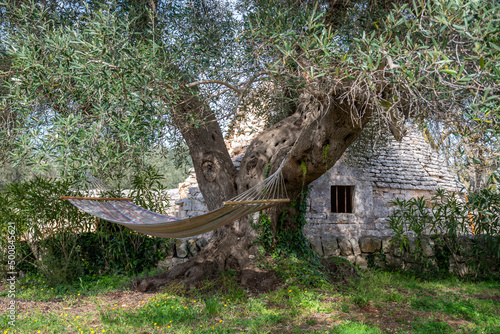 Hammock hanging from a big old olive tree next to Trullo house, traditional Apulian dry stone hut with a conical roof in Puglia, Italy, holiday concept