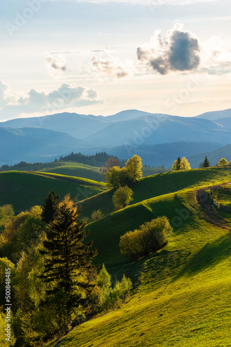 carpathian rural landscape in spring at sunset. trees on the grassy hills rolling in to the distant ridge in evening light. dynamic cloud formations on the sky. beautiful nature background