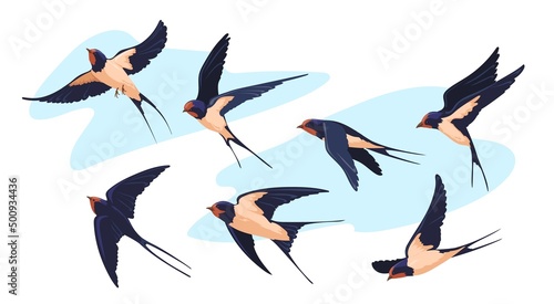 Wildlife swallow. Isolated flying swallows bird swallowing vole, birding swift air flight songbird plumage wings flock birds above sky tattoo design