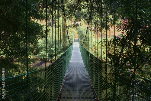 Longitudinal view of a suspension bridge surrounded by forest or jungle vegetation. The bridge crosses the Tambre river in Galicia, Spain.