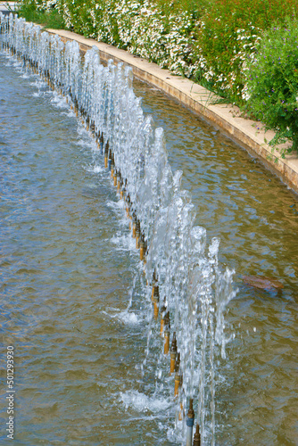 fontanna woda kwiaty krzew park