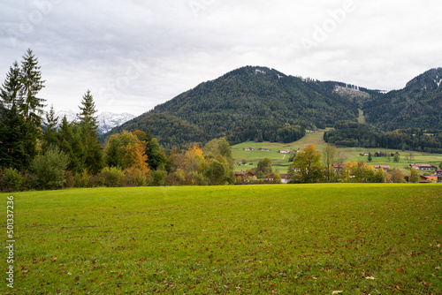 View from a meadow on mountains with fir trees in Bavaria, Germany on a cloudy day in autumn