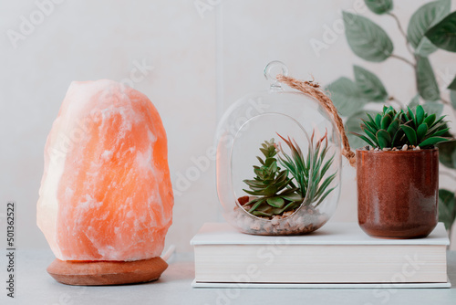 Himalayan salt lamp on table with home plants and book