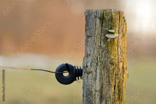 Vintage electro fence pole