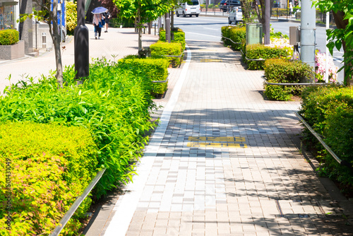 歩行者分離歩道