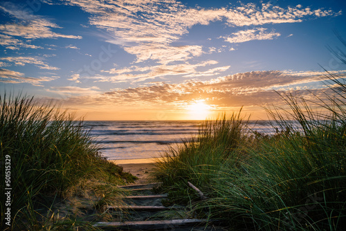 Path framed by overgrown grass, leading to a beach in Christchurch, New Zealand, beautiful sunset
