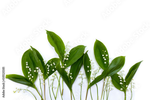 White flowers Lily of the valley ( Convallaria majalis, May bells, may lily ) with green leaves on a white background with space for text. Top view, flat lay