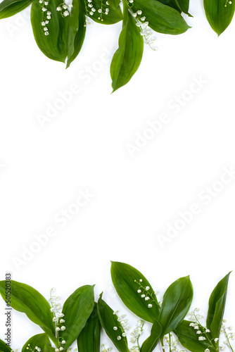 White flowers Lily of the valley ( Convallaria majalis, May bells, may lily ) with green leaves on a white background with space for text. Top view, flat lay