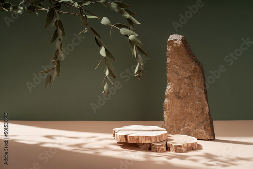 Composition empty podium material tree stone dry flowers. Product presentation. Background beige green. Beautiful background from natural materials.