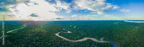 Morning in the Amazon Rainforest