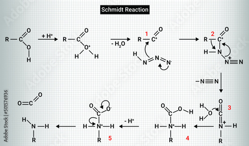 Reaction of carboxylic acids gives acyl azides, which rearrange to isocyanates, and these may be hydrolysed to carbamic acid or solvolyzed to carbamates. Decarboxylation leads to amines