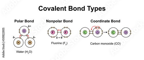 Scientific Designing Of Covalent Bond Types. Polar, Nonpolar And Coordinate Bonds Types. Colorful Symbols. Vector Illustration.
