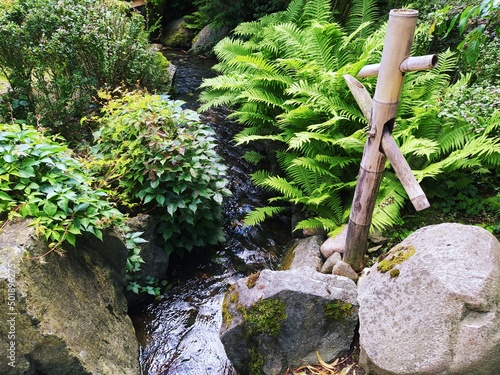 Ogród japoński rzeczka płynąca woda zielony widok z bambusową fontanną