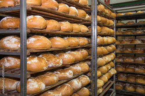 Bandejas de pan recién horneado en una panadería industrial