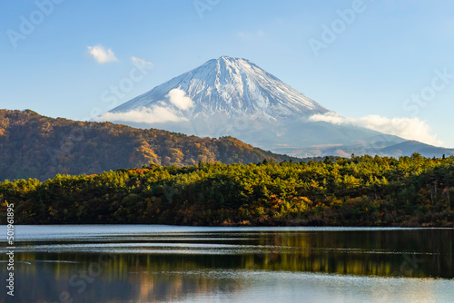 Fuji mountain in autumn at Lake Saiko, Yamanashi, Japan